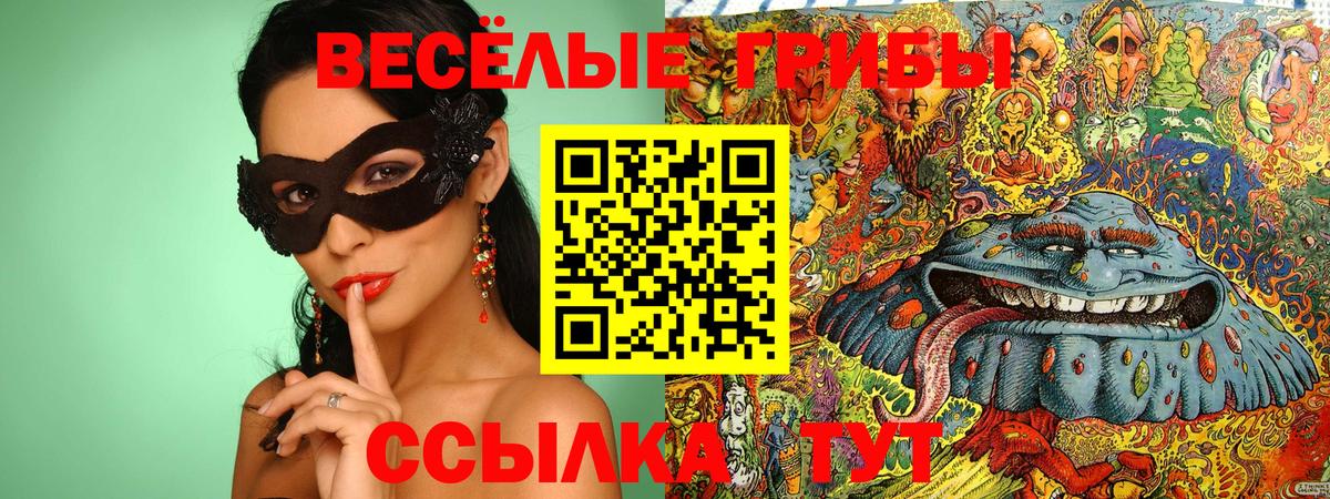 Богданович  Псилоцибиновые грибы мухоморы  Вход с VPN 