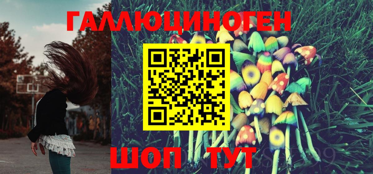 Псилоцибиновые грибы Magic Shrooms Богданович